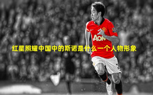 红星照耀中国中的斯诺是什么一个人物形象
