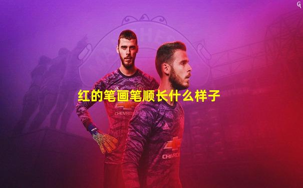 红的笔画笔顺长什么样子