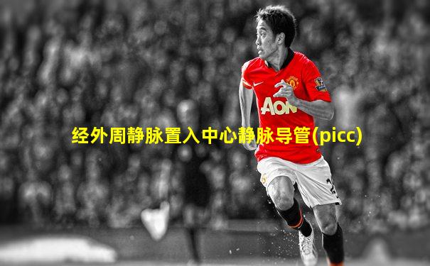 经外周静脉置入中心静脉导管(picc)