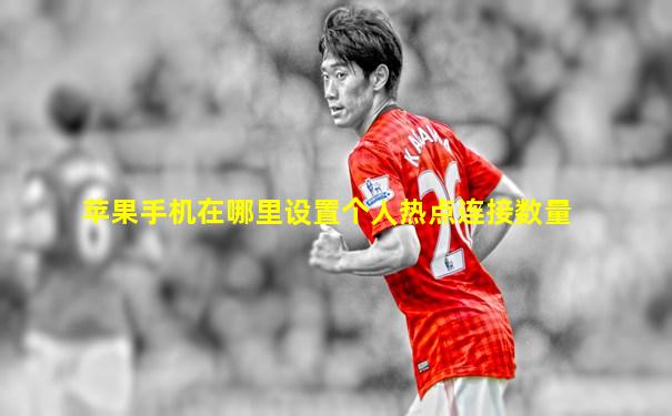 苹果手机在哪里设置个人热点连接数量