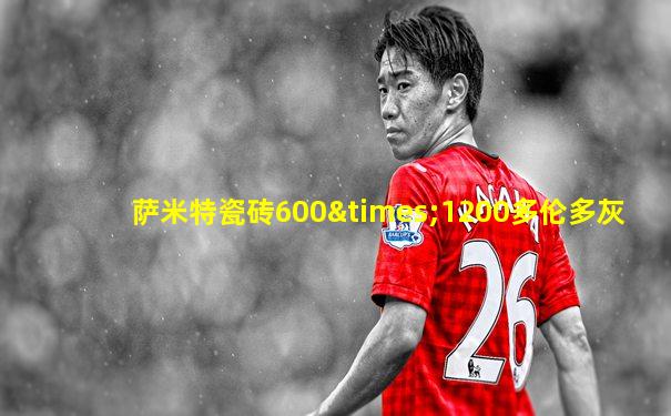 萨米特瓷砖600×1200多伦多灰