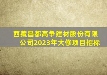 西藏昌都高争建材股份有限公司2023年大修项目招标