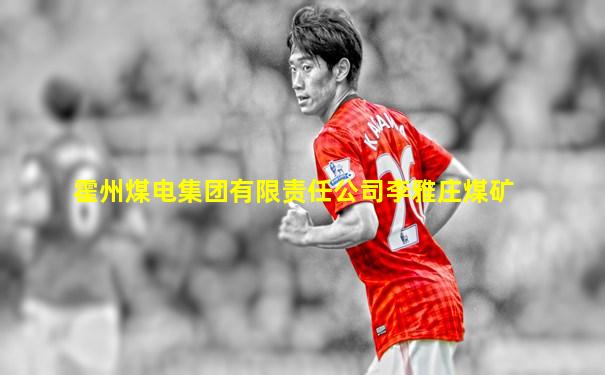 霍州煤电集团有限责任公司李雅庄煤矿