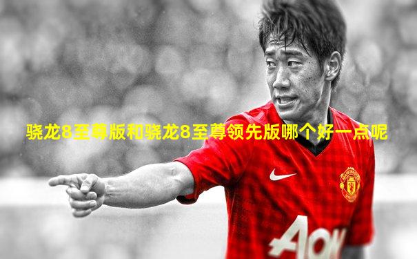 骁龙8至尊版和骁龙8至尊领先版哪个好一点呢