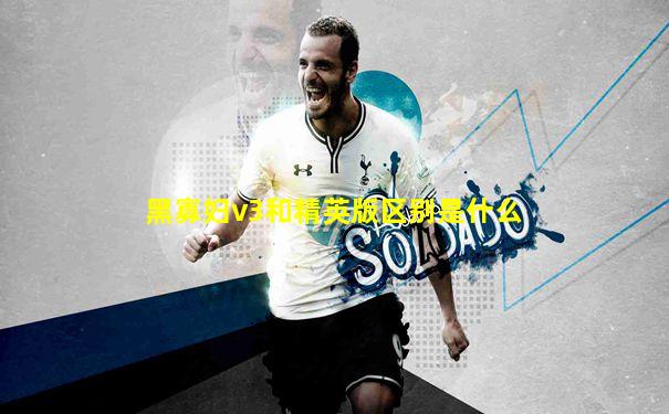 黑寡妇v3和精英版区别是什么