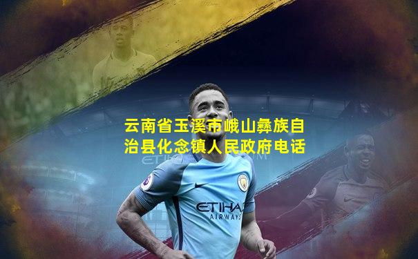 云南省玉溪市峨山彝族自治县化念镇人民政府电话