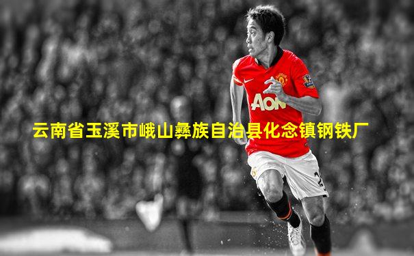 云南省玉溪市峨山彝族自治县化念镇钢铁厂