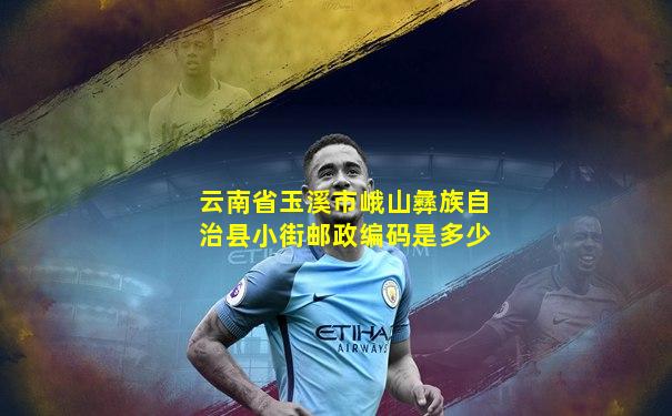 云南省玉溪市峨山彝族自治县小街邮政编码是多少
