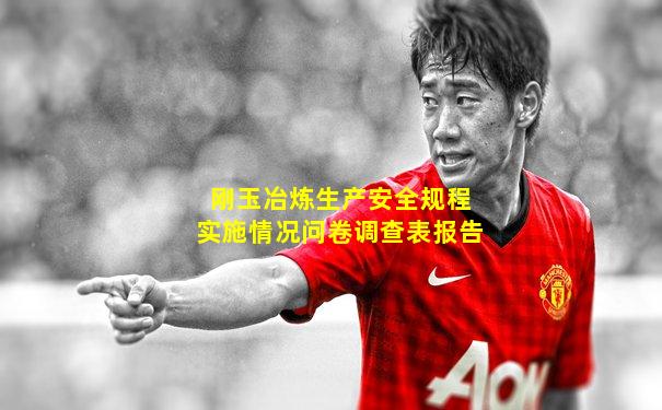 刚玉冶炼生产安全规程实施情况问卷调查表报告