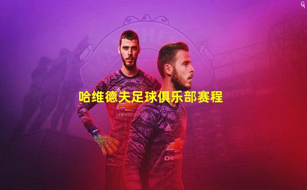 哈维德夫足球俱乐部赛程