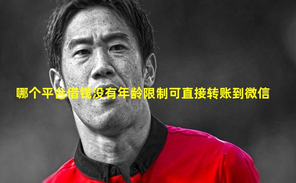 哪个平台借钱没有年龄限制可直接转账到微信