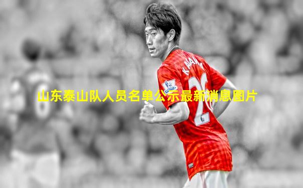 山东泰山队人员名单公示最新消息图片