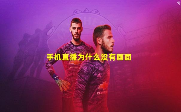 手机直播为什么没有画面