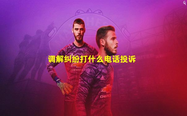调解纠纷打什么电话投诉