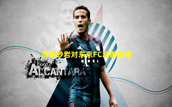 鸟栖砂岩对东京FC动画直播