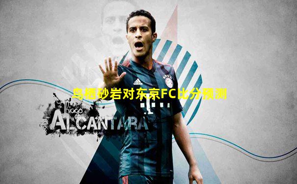 鸟栖砂岩对东京FC比分预测