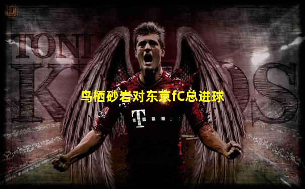鸟栖砂岩对东京fC总进球